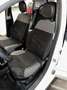 Fiat Panda Panda III 2016 1.0 hybrid Cross s Bianco - thumbnail 10