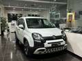 Fiat Panda Panda III 2016 1.0 hybrid Cross s Bianco - thumbnail 1