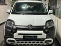 Fiat Panda Panda III 2016 1.0 hybrid Cross s Bianco - thumbnail 2