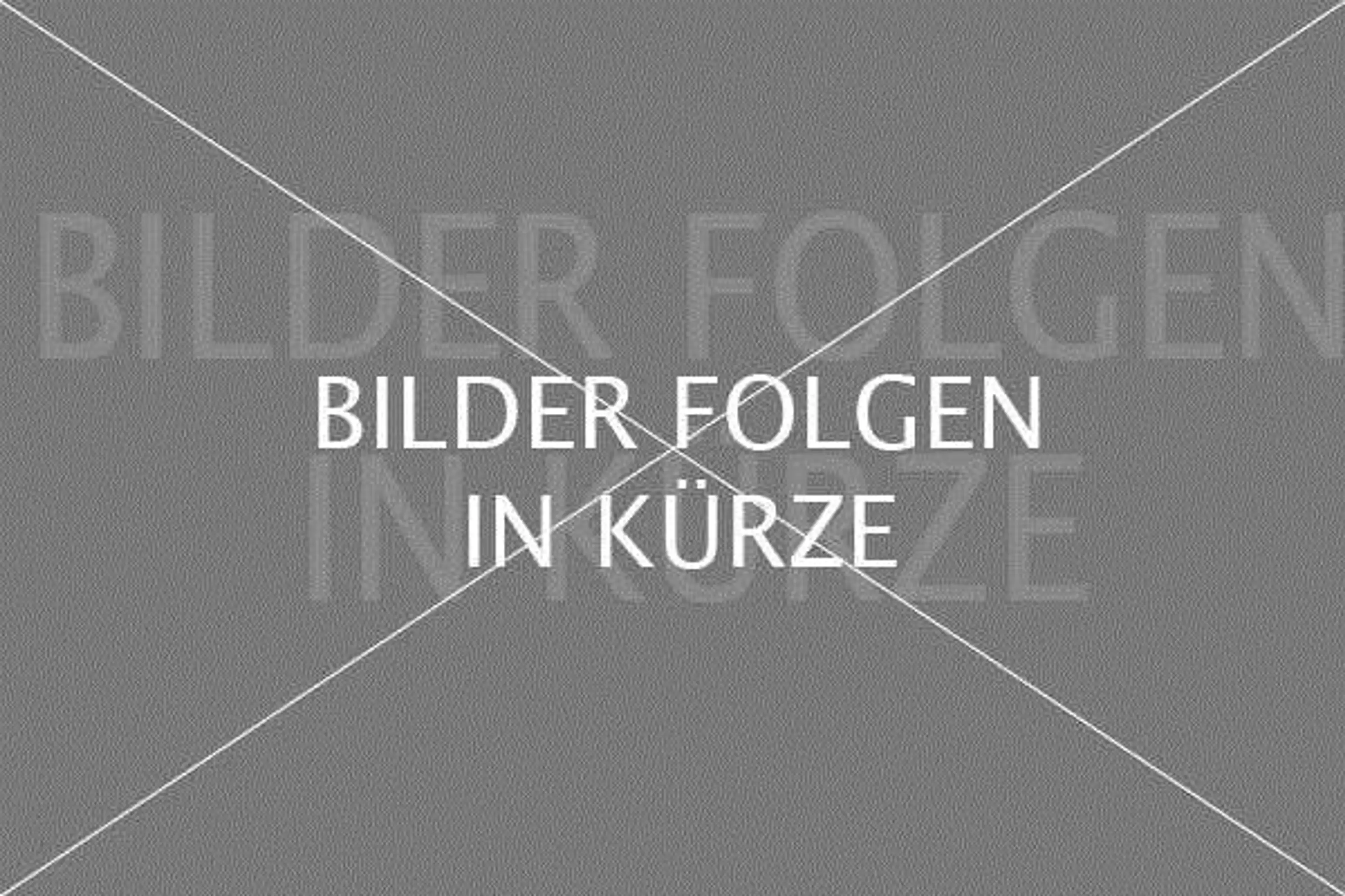 Skoda Kodiaq 2.0 TDI DSG L&K 4x4 *NAVI/LEDER/LED/STHZG* — photo 2
