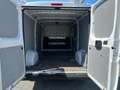 Fiat Ducato 35 3.0 CNG PLM-TM Furgone Bianco - thumbnail 9