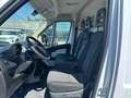 Fiat Ducato 35 3.0 CNG PLM-TM Furgone Bianco - thumbnail 11