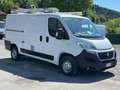 Fiat Ducato 35 3.0 CNG PLM-TM Furgone Bianco - thumbnail 6