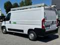 Fiat Ducato 35 3.0 CNG PLM-TM Furgone Bianco - thumbnail 3