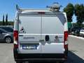 Fiat Ducato 35 3.0 CNG PLM-TM Furgone Bianco - thumbnail 2