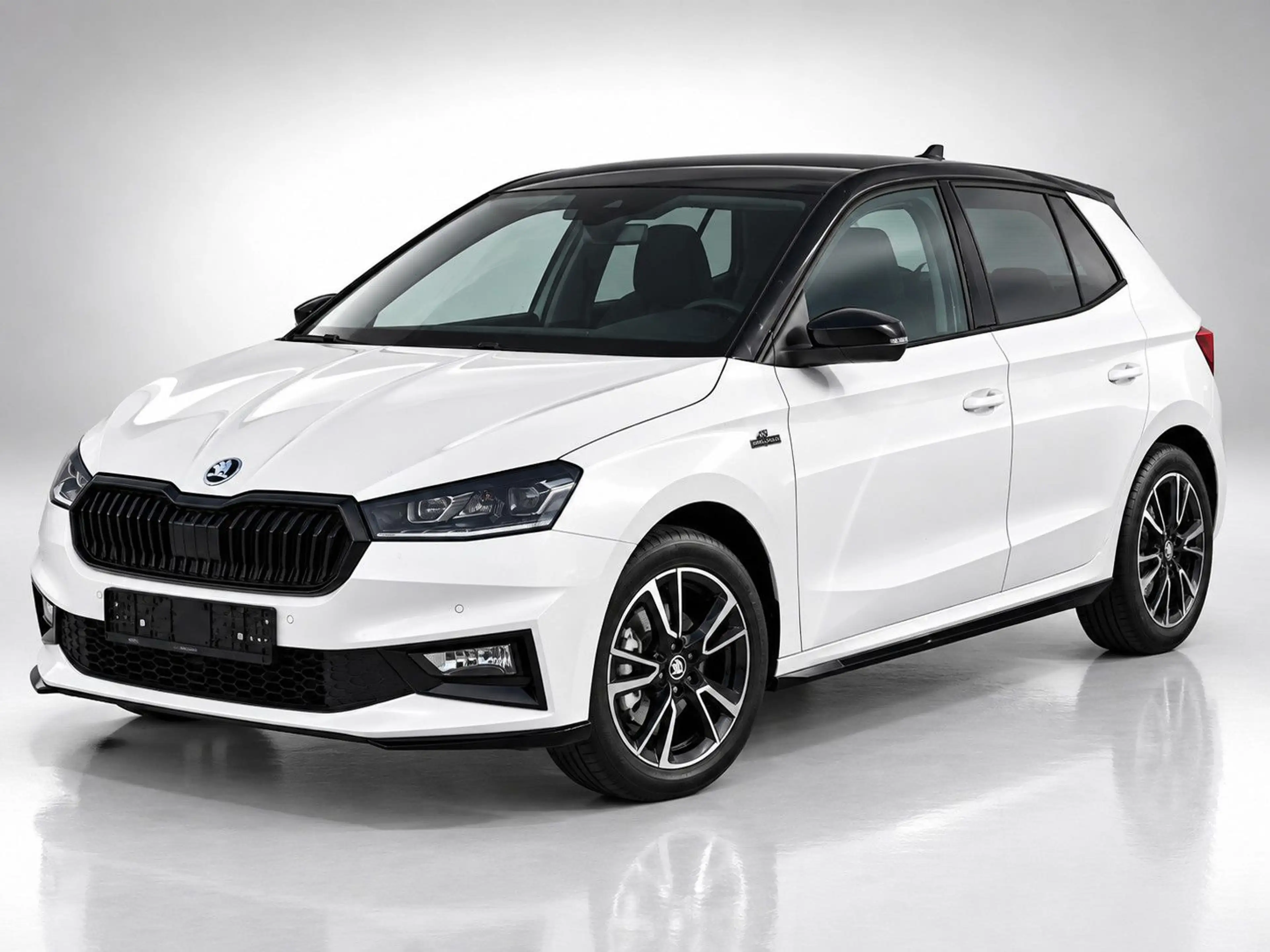 Skoda Fabia 150 PS MONTE CARLO DSG 3xHeizung Navi-App