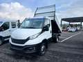 Iveco Daily IVECO DAILY 3000 CV 180 RIBAL TRIL KM 0 Weiß - thumbnail 1