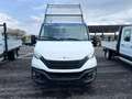 Iveco Daily IVECO DAILY 3000 CV 180 RIBAL TRIL KM 0 Weiß - thumbnail 3
