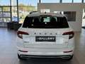Skoda Karoq 2,0 TDI SCR 4x4 Sportline DSG*AHK*ACC*Kamera*LED Weiß - thumbnail 5