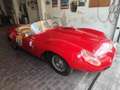 Austin-Healey Sprite Sport Special Barchetta Rot - thumbnail 1