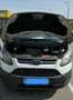 Ford Transit Custom Transit Custom L1H1 300K Variobus 2,2 TDCi Basis Basis Weiß - thumbnail 2