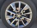 Skoda Kamiq 1.5 TSI Sport 110kW Blanco - thumbnail 16
