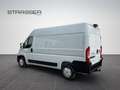 Fiat Ducato H2 Kastenwagen 33 L2H2 140 Multijet Klima Navi Weiß - thumbnail 10