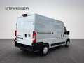 Fiat Ducato H2 Kastenwagen 33 L2H2 140 Multijet Klima Navi Weiß - thumbnail 13