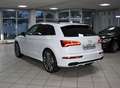 Audi SQ5 TDI 3.0 qu AHK RAUTE STANDH ACC NETTO 34.000 Weiß - thumbnail 8