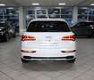 Audi SQ5 TDI 3.0 qu AHK RAUTE STANDH ACC NETTO 34.000 Weiß - thumbnail 7