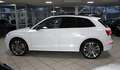 Audi SQ5 TDI 3.0 qu AHK RAUTE STANDH ACC NETTO 34.000 Weiß - thumbnail 9