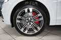 Audi SQ5 TDI 3.0 qu AHK RAUTE STANDH ACC NETTO 34.000 Weiß - thumbnail 28