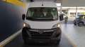 Opel MOVANO Kastenwagen 35+ L3H2 BlueHDi 140 6G Schalte Weiß - thumbnail 4