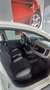 Fiat Panda Panda/Pandina 1.0 GSE Hybrid City Plus Blanc - thumbnail 7