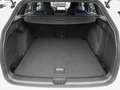 Volkswagen Golf Variant 2.0 TSI DSG R MATRIX ACC AHK AUT Weiß - thumbnail 17