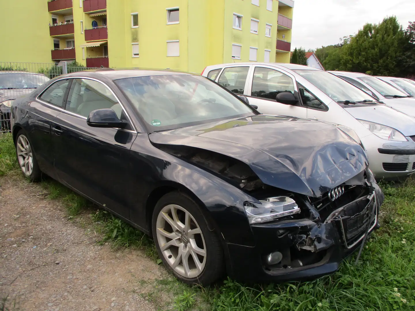 Audi A5 3.0 TDI DPF quattro *Navi*Leder*Xenon* Bleu - 1