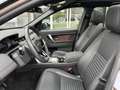 Land Rover Discovery Sport P300e SE Beige - thumbnail 8