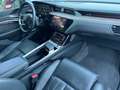 Audi e-tron 55 quattro advanced21ZollMatrixHuDAccPano Szary - thumbnail 13