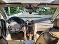 Mercedes-Benz CLK 270 CLK 270 CDI Elegance - thumbnail 12
