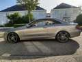 Mercedes-Benz CLK 270 CLK 270 CDI Elegance - thumbnail 14