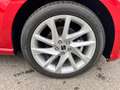 SEAT Ibiza FR1.0lTSI DSG SHZ+PDC+WinterPaket+Navi+LED Rot - thumbnail 19