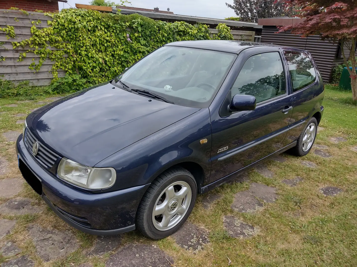 Volkswagen Polo Polo 50 Servo XXL Bleu - 1