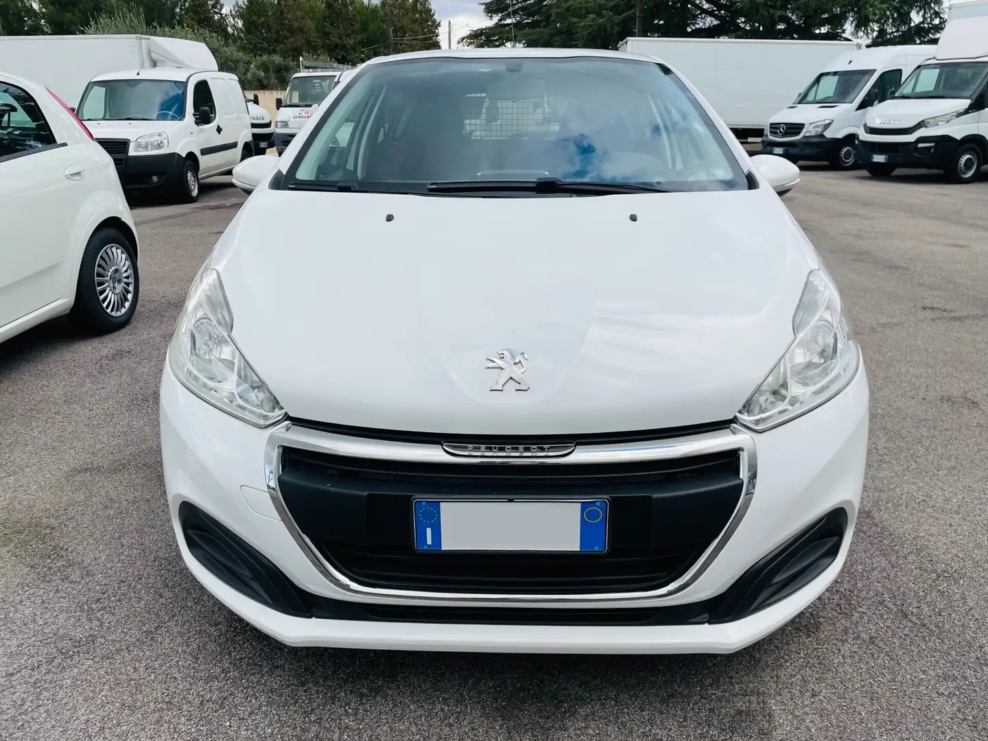Peugeot 208 BlueHDi 75 5 porte Van Active Bianco - 1