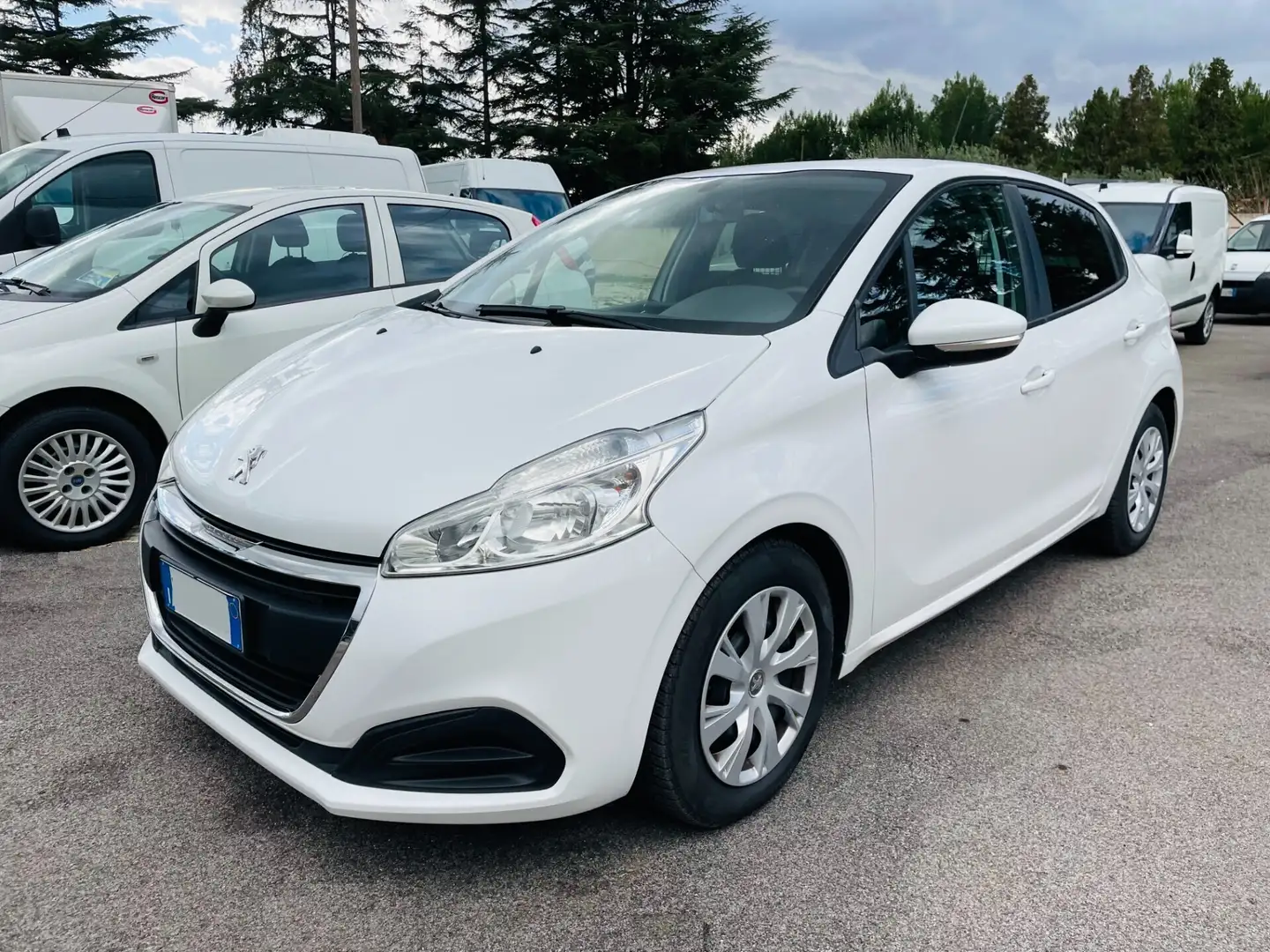 Peugeot 208 BlueHDi 75 5 porte Van Active Bianco - 2