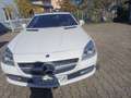 Mercedes-Benz SLK 200 SLK 200 BlueEFFICIENCY 7G-TRONIC Roadster pur Weiß - thumbnail 3