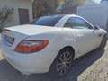 Mercedes-Benz SLK 200 SLK 200 BlueEFFICIENCY 7G-TRONIC Roadster pur Weiß - thumbnail 5