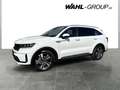 Kia Sorento PLATINUM 1,6T HEV DCT AWD (7-S./PANO) Blanco - thumbnail 16