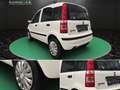 Fiat Panda 1.2 8V Natural Power KLIMA~SERVO~el. FH~ZV~DACHREH Wit - thumbnail 8