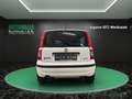 Fiat Panda 1.2 8V Natural Power KLIMA~SERVO~el. FH~ZV~DACHREH Wit - thumbnail 7