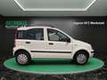 Fiat Panda 1.2 8V Natural Power KLIMA~SERVO~el. FH~ZV~DACHREH Wit - thumbnail 5