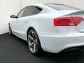 Audi A5 2.0 TDI Sportback 3x-Sline Aut. Weiß - thumbnail 10