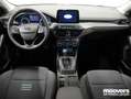 Ford Focus 1.0 EcoBoost 125 CV 5p. Active Stile PRONTA CONSE Blu/Azzurro - thumbnail 9