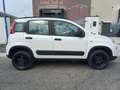 Fiat Panda 0.9 TwinAir Turbo S&S 4x4 Blanc - thumbnail 30