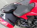 MV Agusta Turismo Veloce 800 ROSSO Czerwony - thumbnail 11