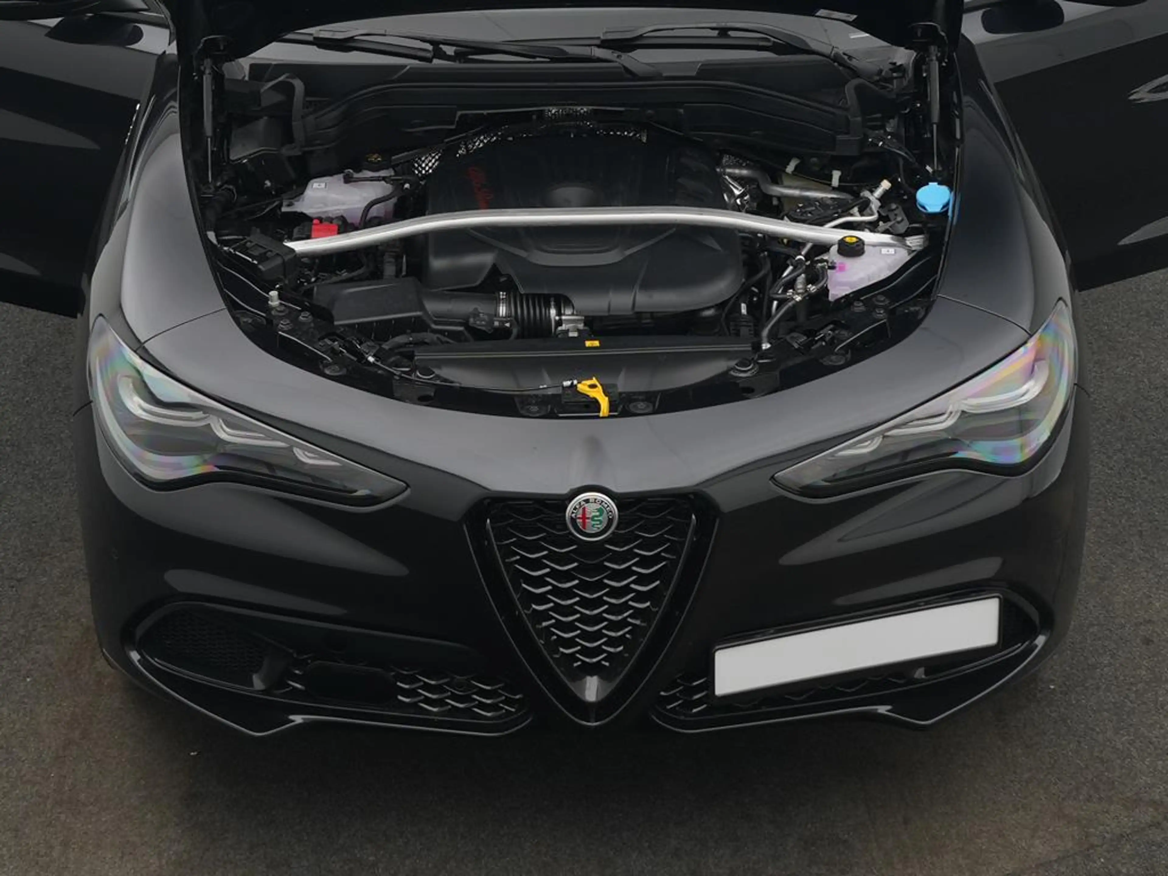 Alfa Romeo Stelvio Veloce Q4 2.2 Diesel Pano + AHK + Sound — photo 8