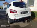 Nissan Qashqai+2 Visia 4X4.... 7 Sitzer White - thumbnail 13