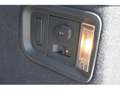 SEAT Alhambra Alhambra 2.0 TDI Reference AHK. 7Sitz. Climatronic Коричневий - thumbnail 20