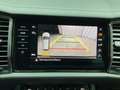Skoda Kodiaq Tour (Vorb.AHK.Rückfahrkamera.Navi) 2.0 TDI DSG Gris - thumbnail 13