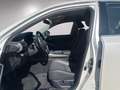 Lexus IS 300 IS Hybrid 300h Privilege Weiß - thumbnail 7