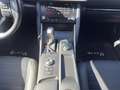 Lexus IS 300 IS Hybrid 300h Privilege Weiß - thumbnail 10
